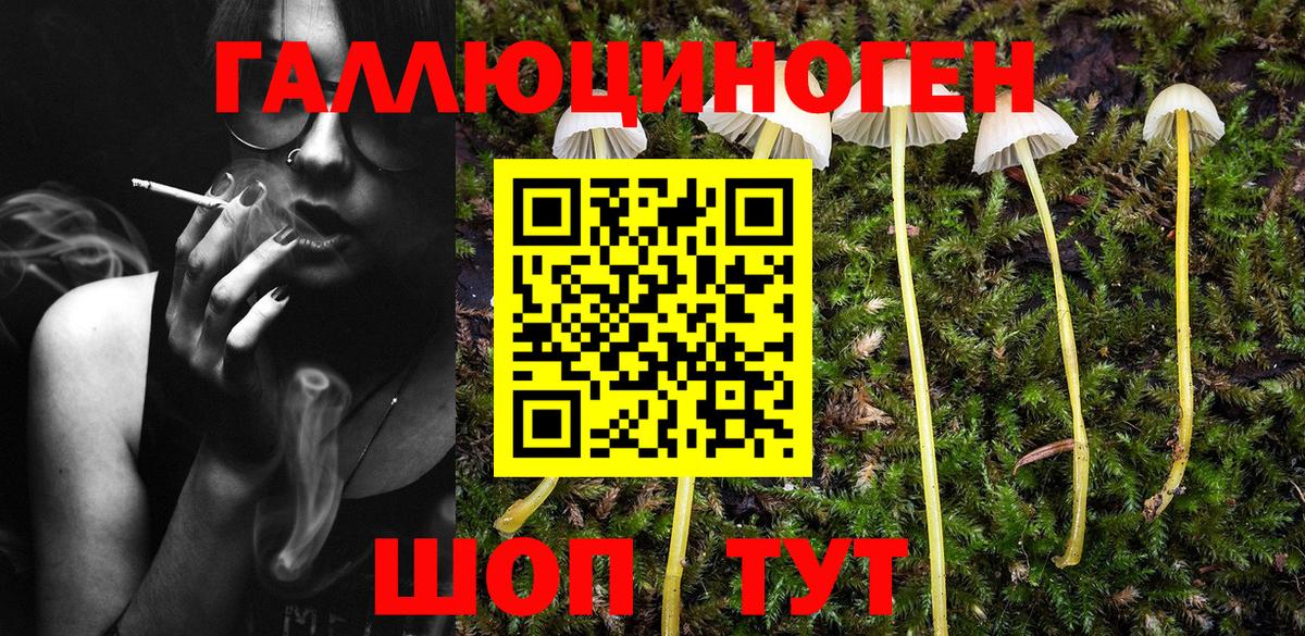 Псилоцибиновые грибы ЛСД  Вход с VPN  Вятские Поляны 