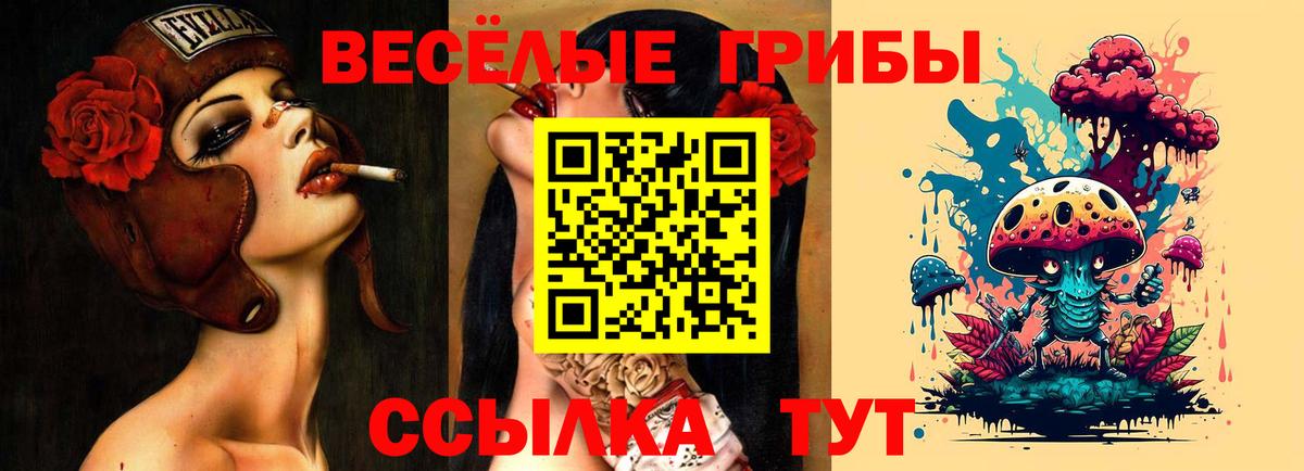 Галлюциногенные грибы мицелий Вятские Поляны