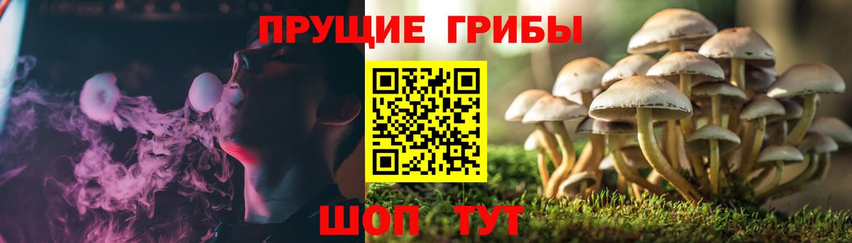 COCAIN  ГАШИШ  Бошки Шишки  Экстази  Вятские Поляны  Меф  Вход с VPN  МДМА  Мефедрон  